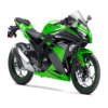 Kawasaki ZX300 2012 – 2020